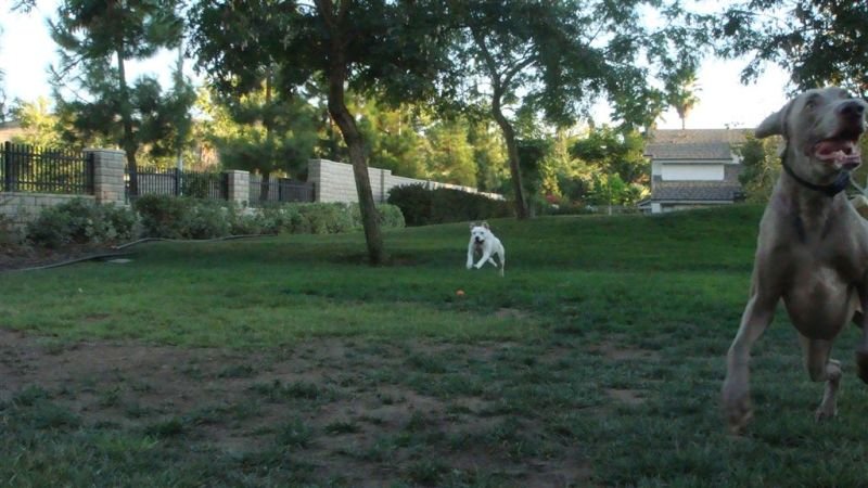 Speedy Kaya