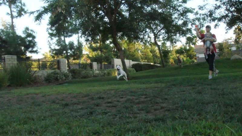 Kaya - Chasing the Ball