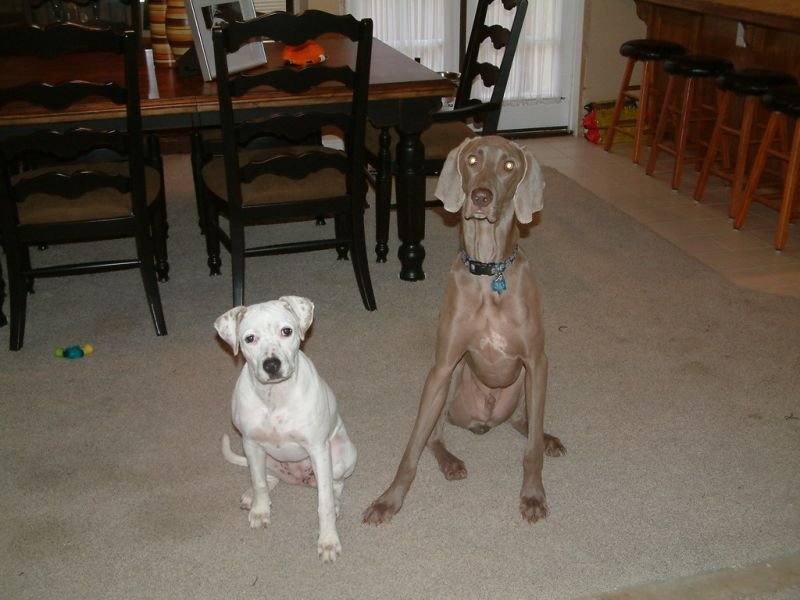 Shadow & Kaya