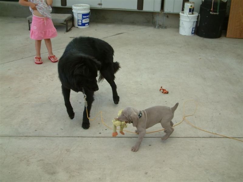 Can I Borrow This?