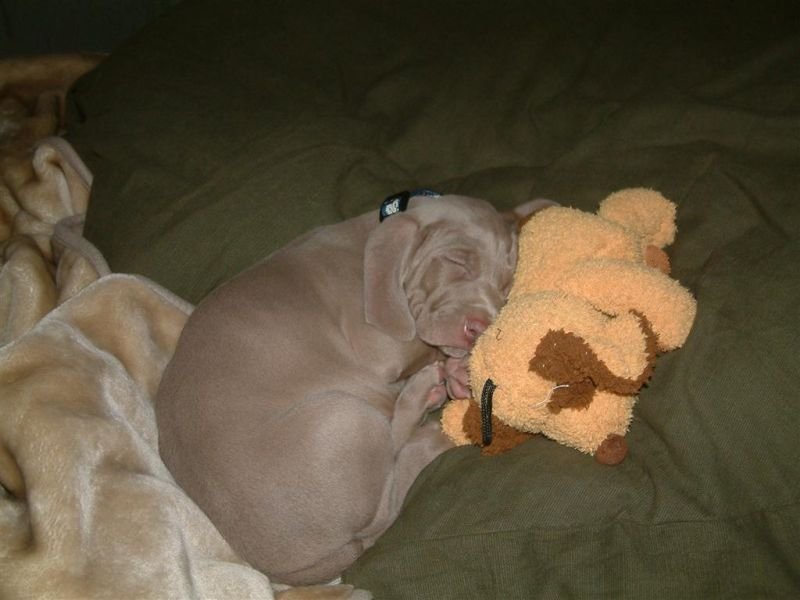 Nappin'