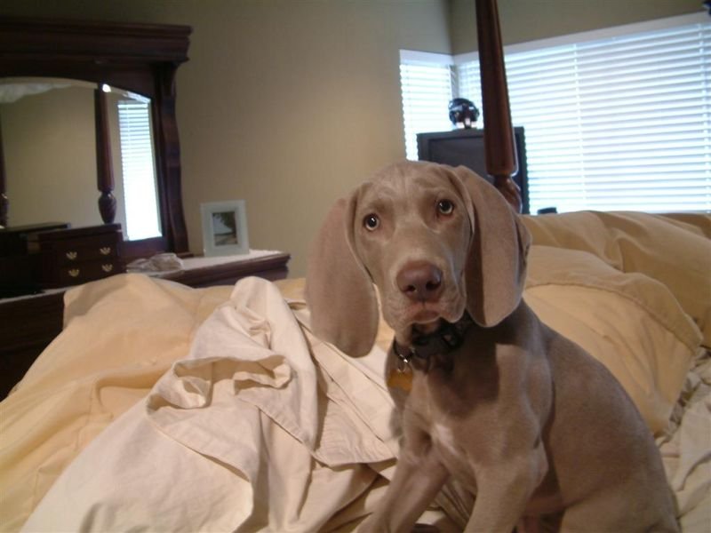 No Really, What is that?