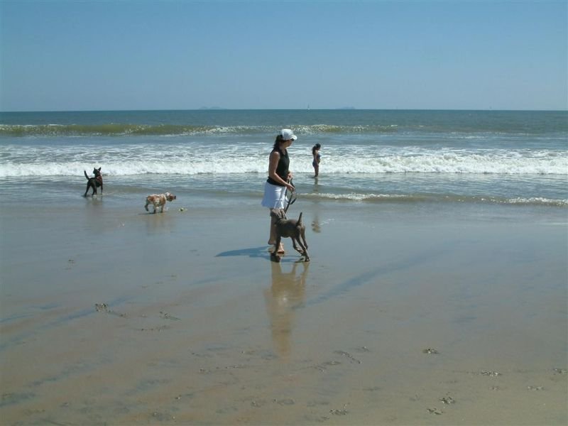 My 1st Day at the Beach