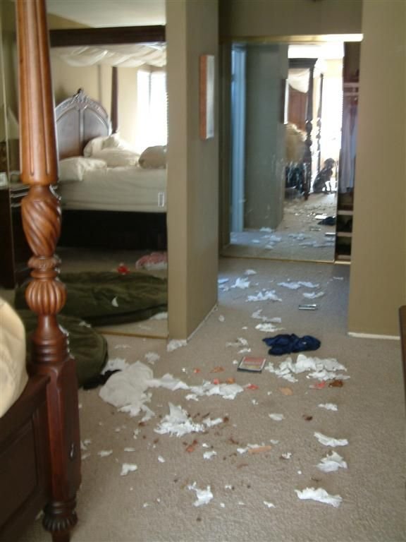 Path of Destruction
