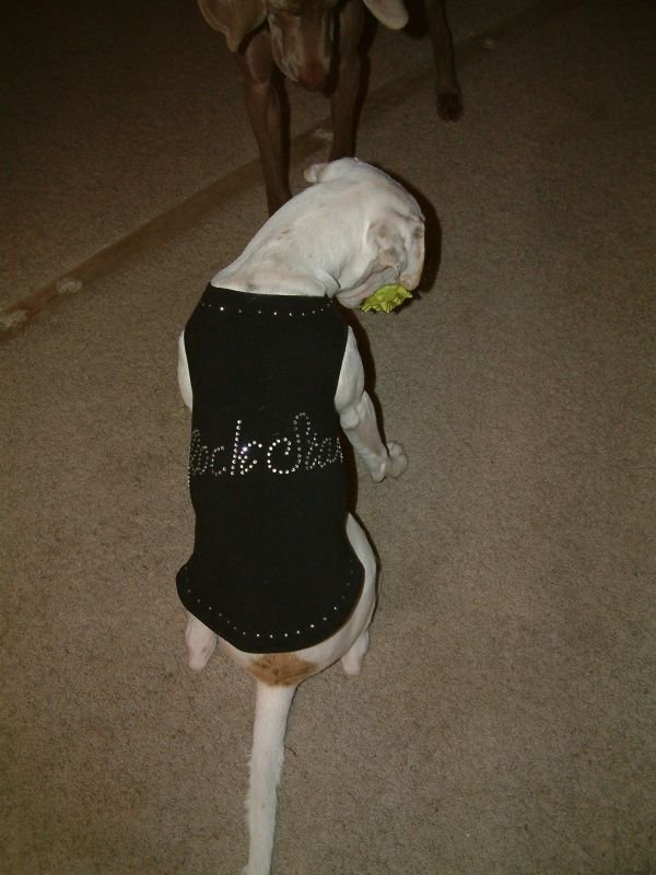 Rock Star