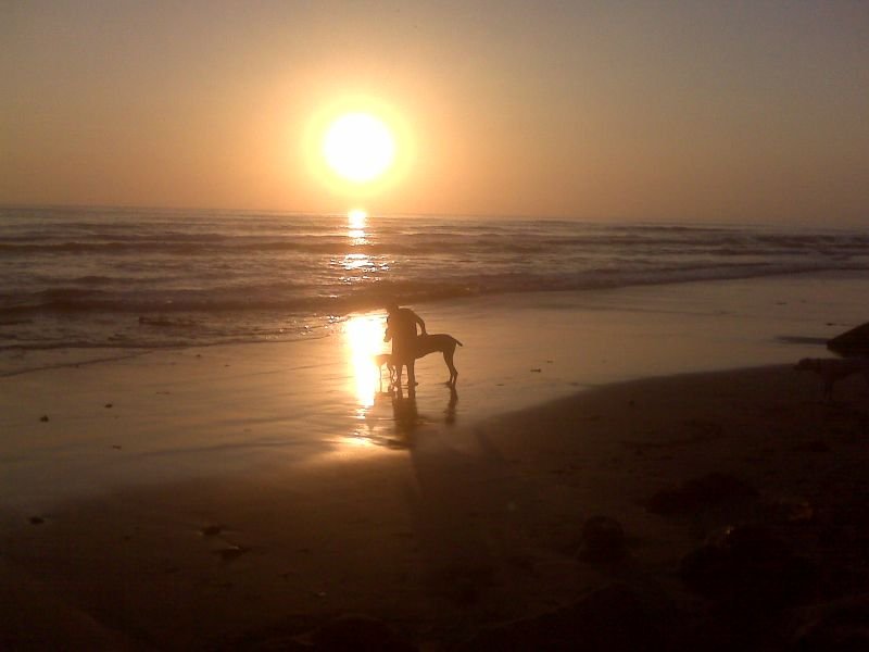 Shadow & Mama - Sunset