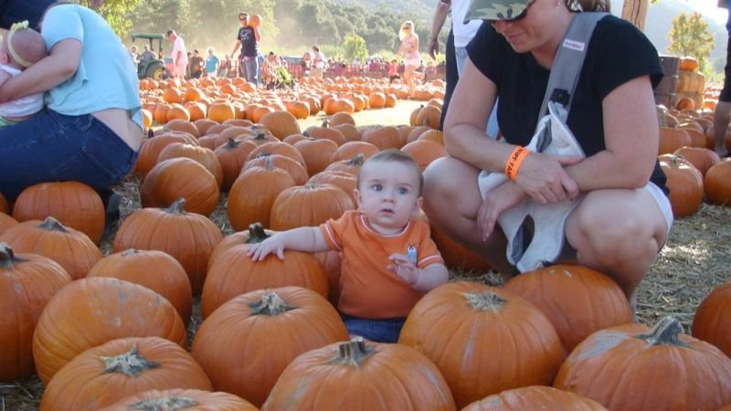 Our Little Pumpkin