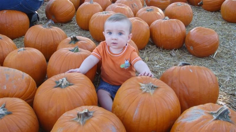 Sitting Strong in the Pumpkin Patch