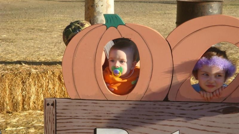 Trey Pumpkin