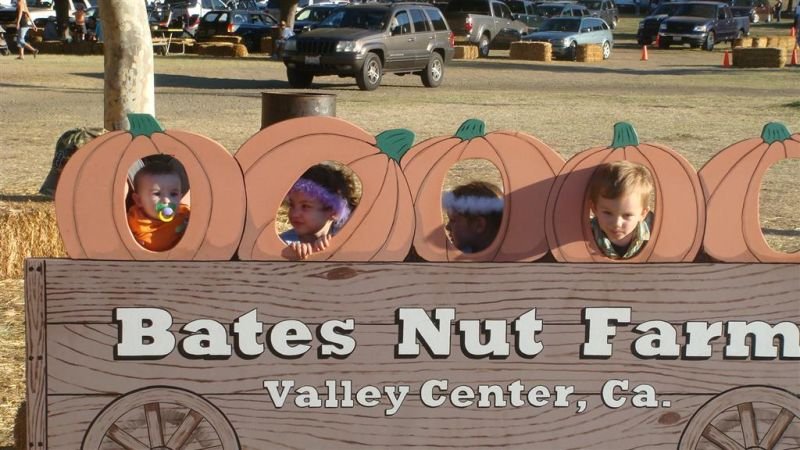 Four Little Pumpkins