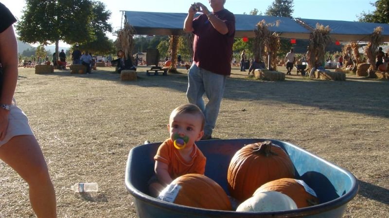 Trey in a Wheelbarrow