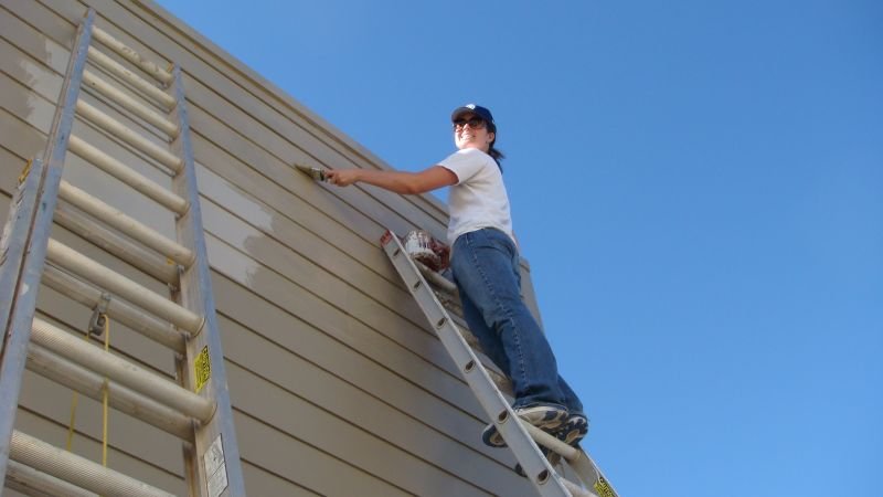 Ali on Extension Ladder