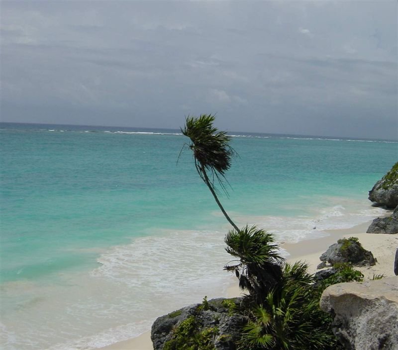 Beach from 

Cliffs