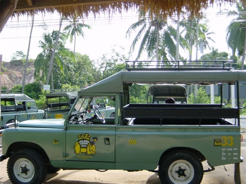 Our Jungle 

Truck
