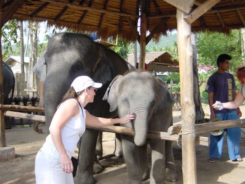 Jodi & 

Dumbo
