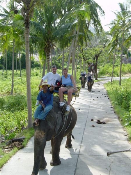 Elephant 

Trek 1