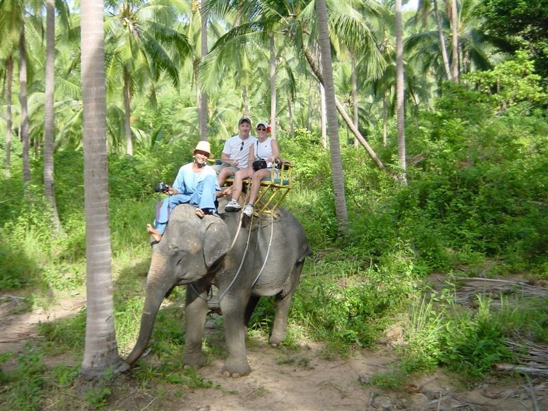 Elephant 

Trek 2