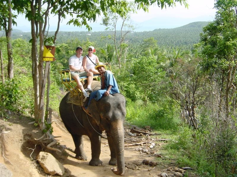 Elephant 

Trek 3