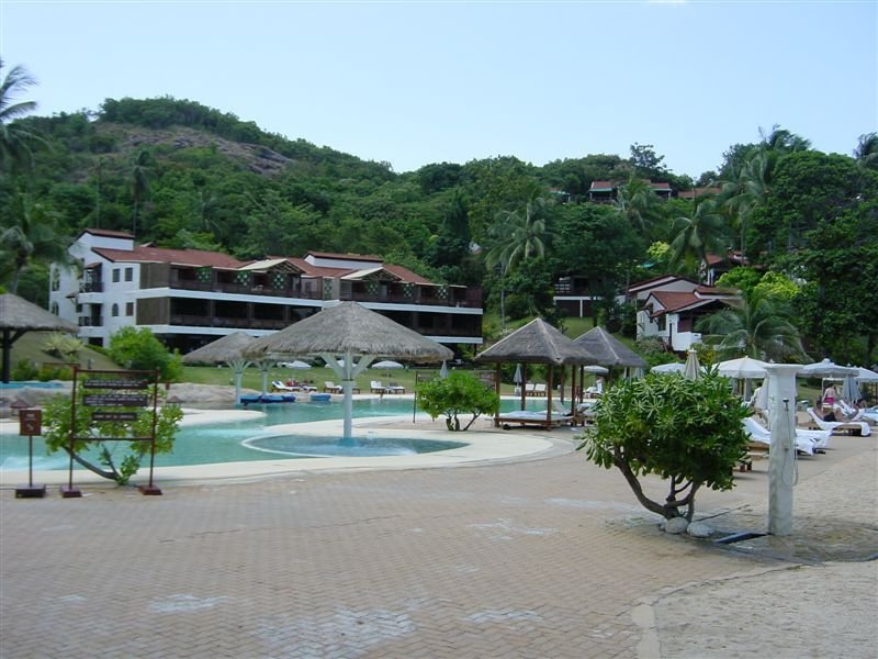 The Pool 

Area