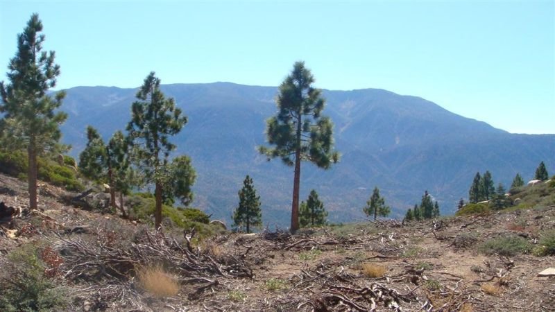 Mountain Summit