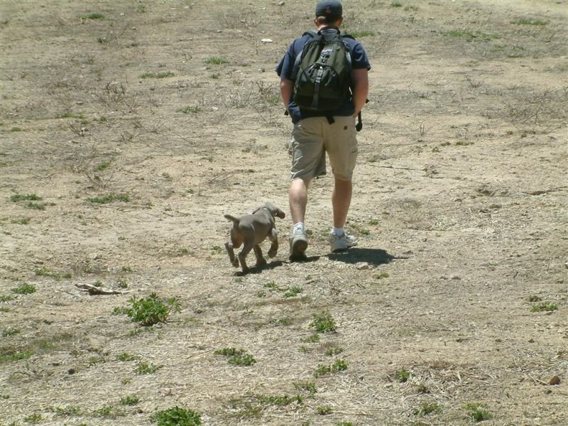 Eric & Shadow 2