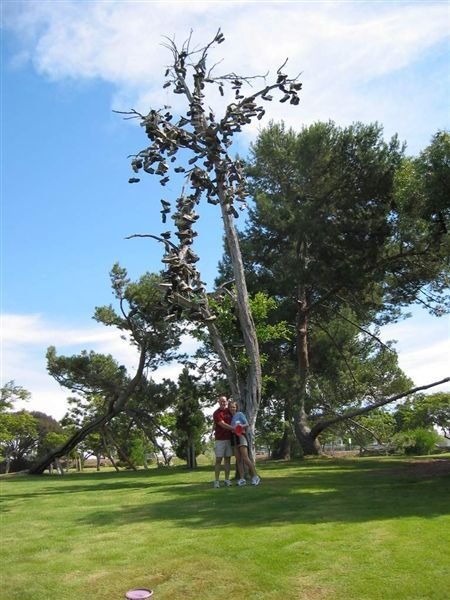 Sneaker 

Tree