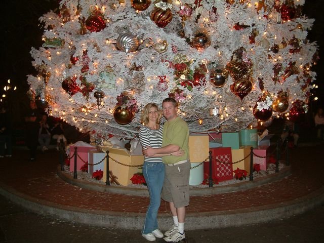 Julie & Rob 

- Xmas Tree at Disney